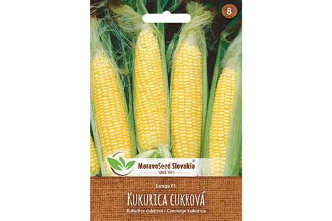 Výsev kukurice