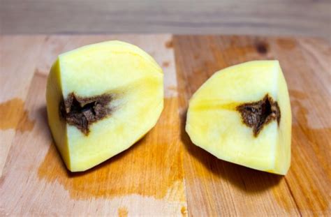 Ochrana zemiakov proti chorobám a škodcom