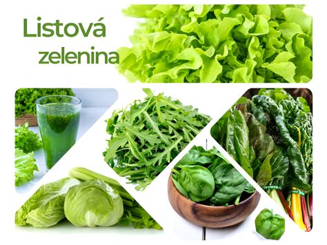 Ilustrácia rôznych druhov listovej zeleniny