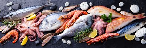 Morské plody a ryby
