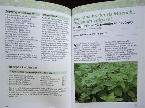 Bylinky pre mužskú potenciu