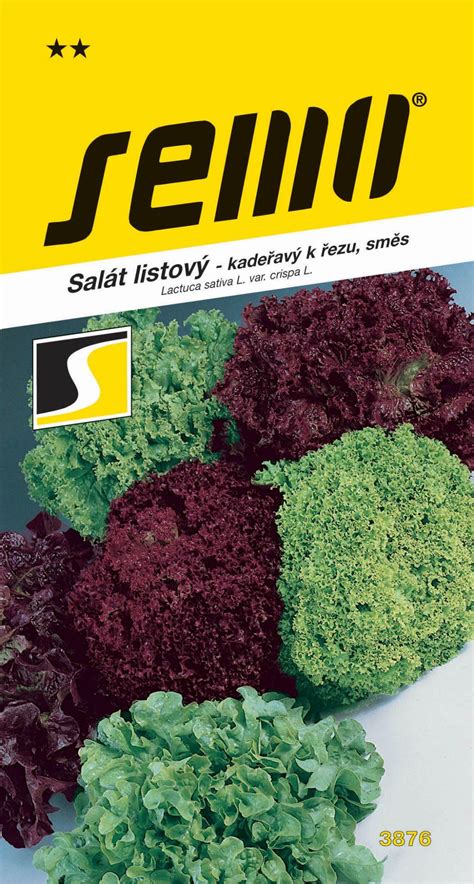 Farebná zmes sezónnej zeleniny