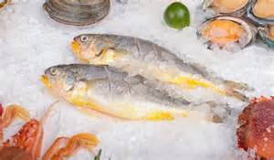 Ilustrácia porovnania čerstvej a mrazenej ryby