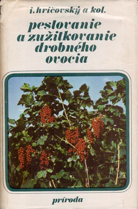 Škôlka drobného ovocia