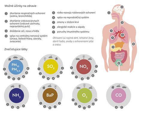 Ilustrácia znázorňujúca vplyv cukru a tukov na zdravie