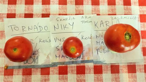 Štítky s označením odrôd paradajok