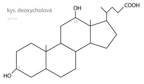 Štruktúra molekuly cholesterolu