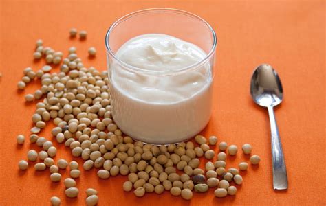 Obrázok rôznych druhov rastlinných jogurtov