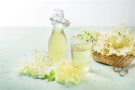 Ingrediencie na bazový sirup