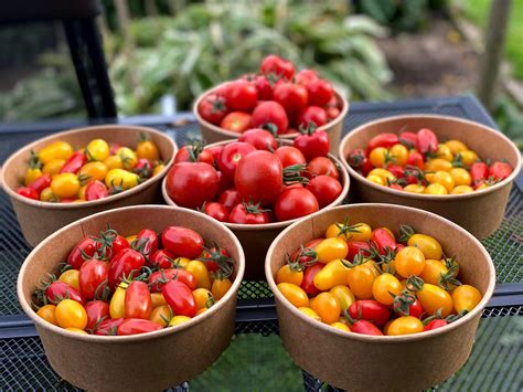 Rôznorodá čerstvá zelenina pripravená na restovanie