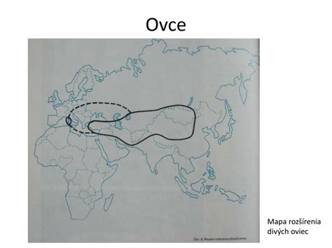 Mapa rozšírenia mäsových plemien oviec