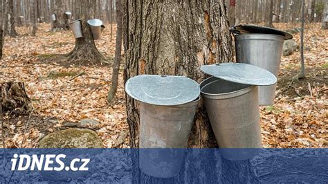 Mapa producentov javorového sirupu