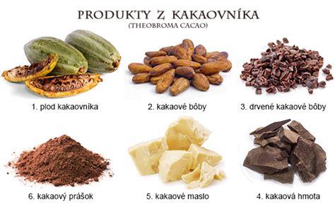 Ilustrácia rôznych druhov čokoládových korpusov