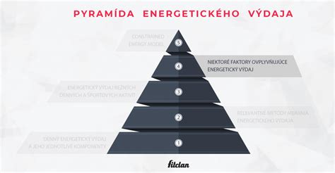 Infografika zobrazujúca zložky energetického výdaja