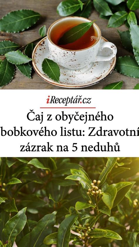 Čaj z pandieho trusu