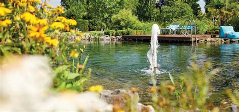 Schéma starostlivosti o jazierko