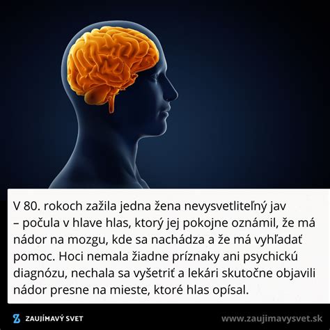 Ilustrácia mozgu počas meditácie