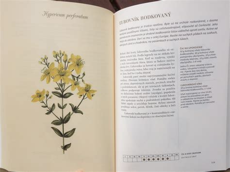 Ilustrácia zberu byliniek