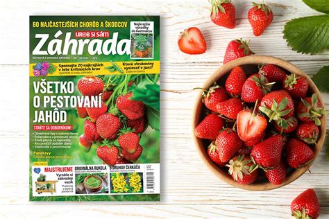 Ilustračné foto rodinnej farmy