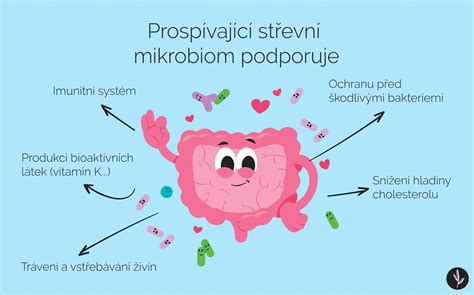 Infografika znázorňujúca zdravý a nezdravý tráviaci systém