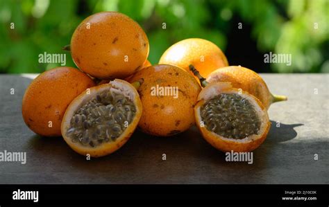 granadilla