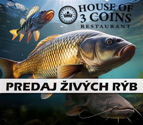 Ilustračná fotografia čerstvých rýb na predajnom pulte