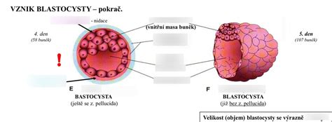 Diagram znázorňujúci vznik plazmy