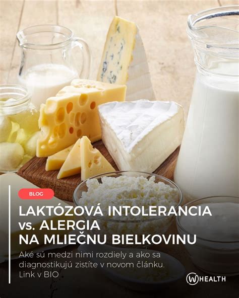 Infografika porovnávajúca intoleranciu laktózy a alergiu na mliečnu bielkovinu