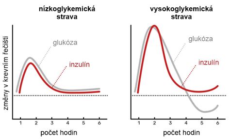 Grafické znázornenie hladín inzulínu a glukózy počas prerušovaného pôstu