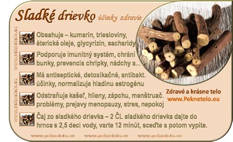 Klíčiaci koreň zázvoru