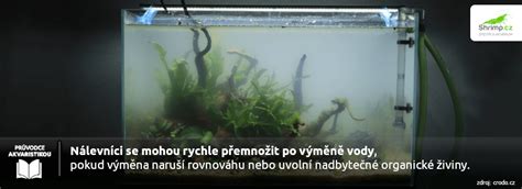 Grafické znázornenie prúdu vody v akváriu