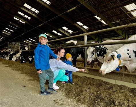 Rodinná farma v Alpách s kravami
