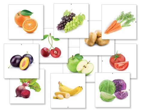 Ilustrácia stromu s ovocím a kríka so zeleninou