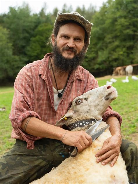 Farmár s hovädzím dobytkom na paši