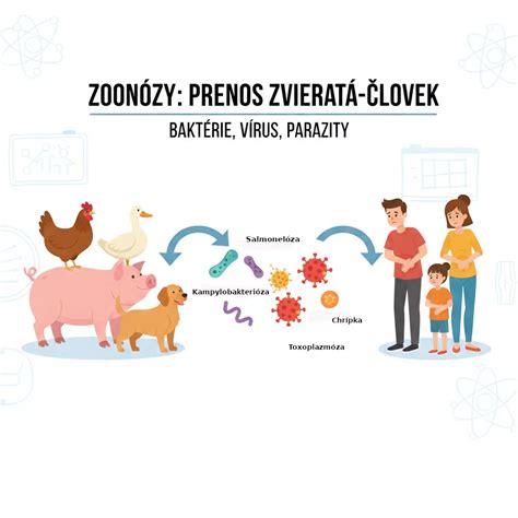 Ilustrácia znázorňujúca cyklus emočného prejedania