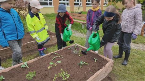 Deti konzumujúce ovocie a zeleninu v školskej záhrade