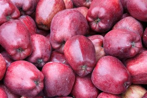 Rôzne druhy jabĺk na pečenie