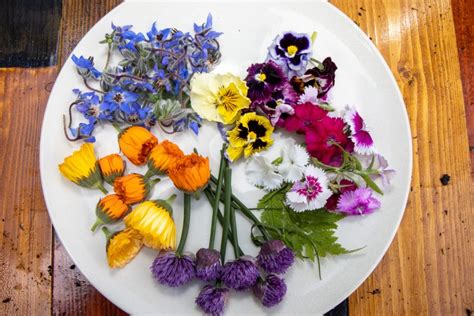 jedlé papierové motýle a kvety na torte