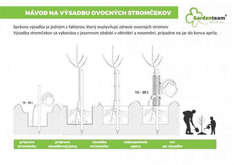 Porovnanie klasického a stĺpovitého ovocného stromu