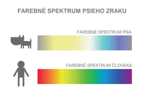 graf emocionálneho spojenia človeka a psa