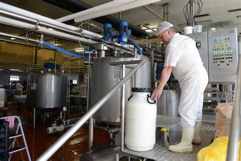 Výroba mliečnych výrobkov