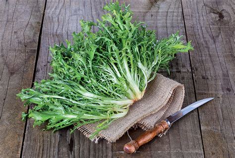 Rôzne druhy šalátov s ingredienciami