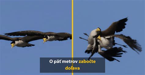 Rozdielne uhly pohľadu pri fotení jedla