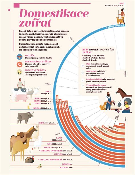 Infografika: Časová os dĺžky dusenia mäsa v závislosti od použitého postupu