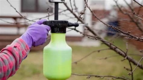 Fľaše s rôznymi typmi postrekov na ovocné stromy