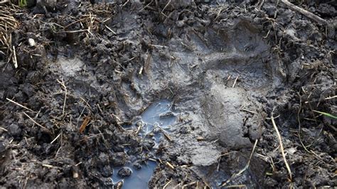 Ilustračná fotografia tajomnej gule dopadnutej na zem