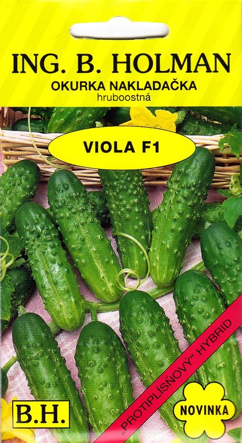 Zelenina odolná voči chladu
