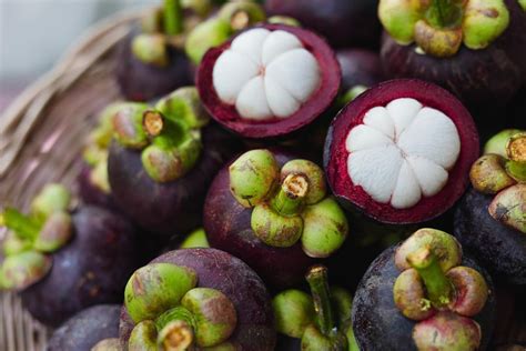 Mangostan