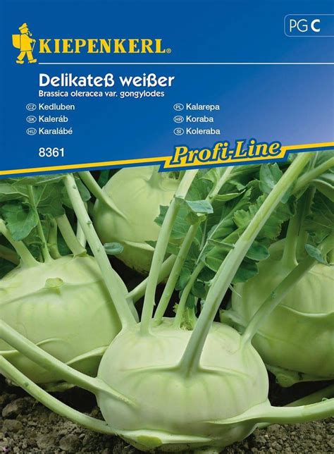Kalarepa Delikateß weißer - hľuza a listy