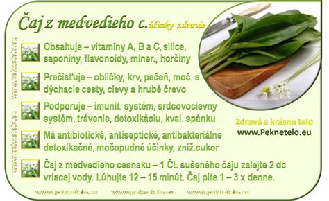 Štruktúra listov medvedieho cesnaku